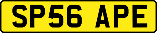 SP56APE