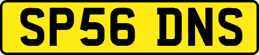 SP56DNS