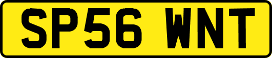 SP56WNT