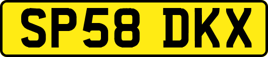 SP58DKX