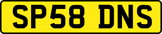 SP58DNS