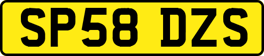 SP58DZS