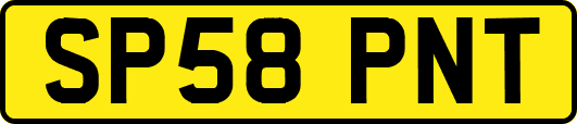 SP58PNT