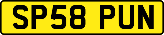 SP58PUN