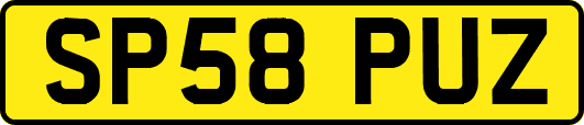 SP58PUZ