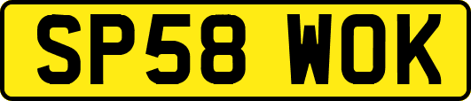 SP58WOK
