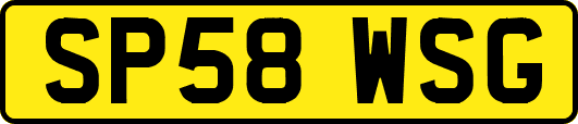 SP58WSG
