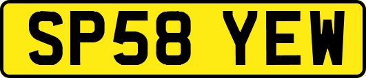 SP58YEW