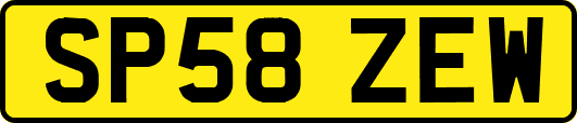 SP58ZEW