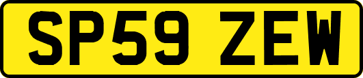 SP59ZEW