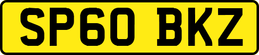 SP60BKZ