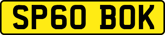 SP60BOK