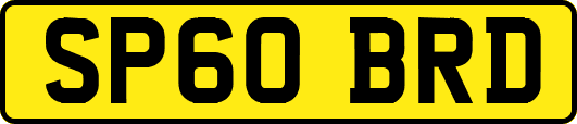 SP60BRD