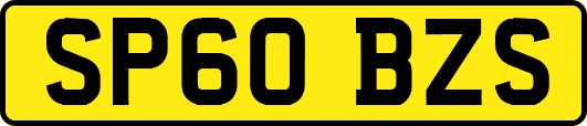 SP60BZS