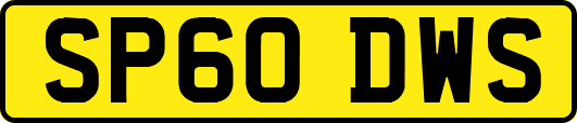SP60DWS