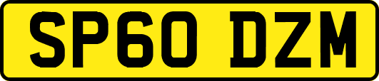 SP60DZM