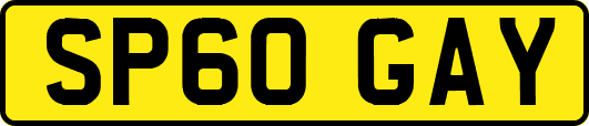 SP60GAY