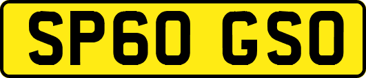 SP60GSO