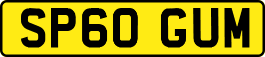 SP60GUM