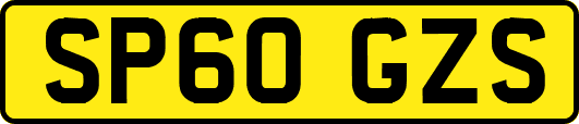 SP60GZS