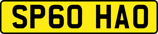 SP60HAO