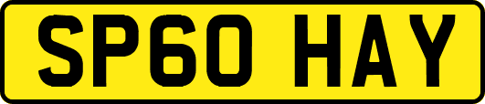 SP60HAY