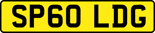 SP60LDG