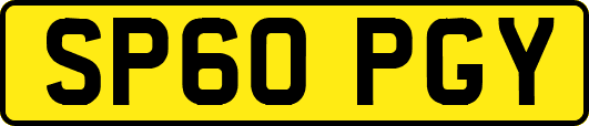 SP60PGY