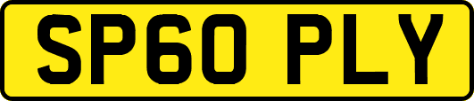 SP60PLY