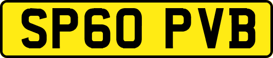 SP60PVB