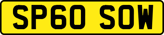 SP60SOW