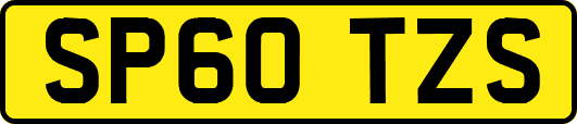 SP60TZS