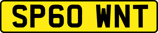 SP60WNT