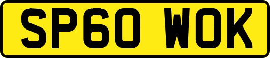 SP60WOK