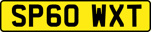 SP60WXT