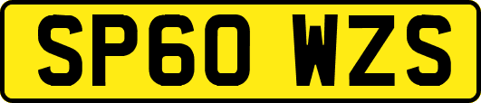 SP60WZS