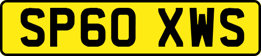 SP60XWS