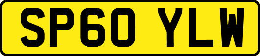 SP60YLW