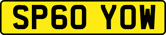 SP60YOW