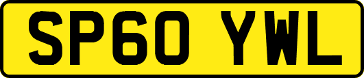 SP60YWL