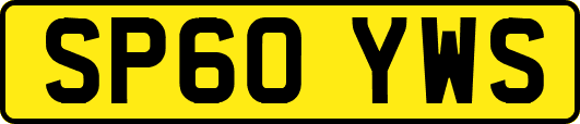 SP60YWS
