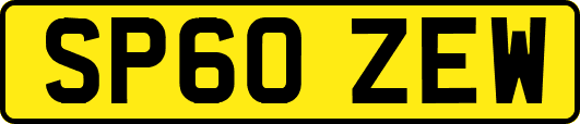 SP60ZEW