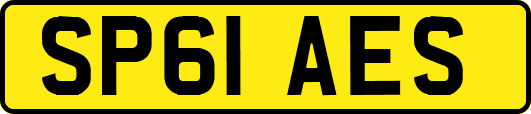 SP61AES