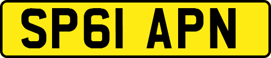 SP61APN