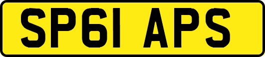SP61APS