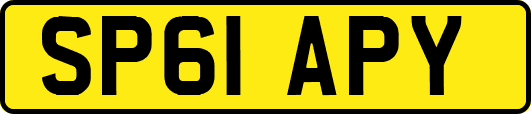 SP61APY