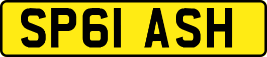 SP61ASH