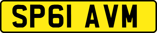 SP61AVM