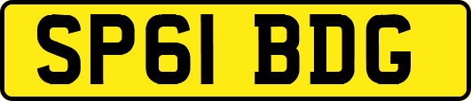 SP61BDG