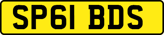 SP61BDS
